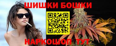 тгк Дмитров