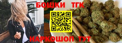 тгк Дмитров