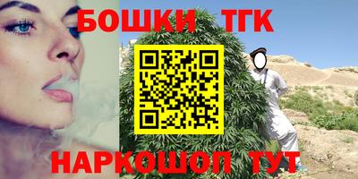 тгк Дмитров