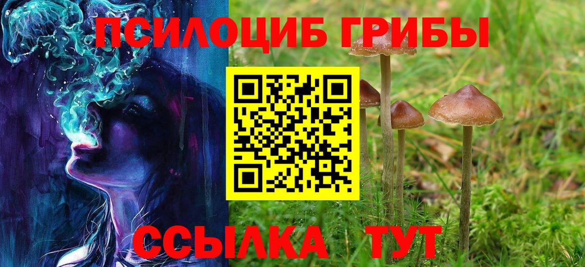 Галлюциногенные грибы прущие грибы Губаха
