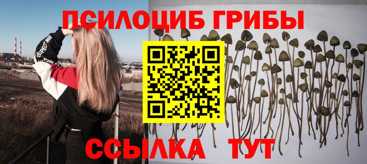 Псилоцибиновые грибы мицелий  Псилоцибиновые грибы GOLDEN TEACHER  где можно купить   Губаха  Вход с VPN 